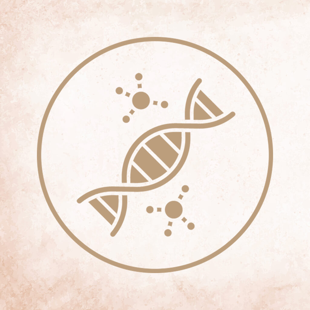 DNS spirál – évmilliók óta öröklődő túlélési programok lenyomata