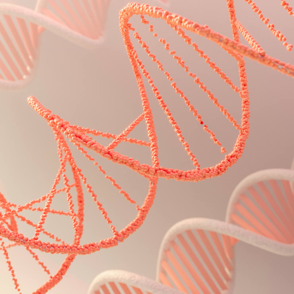 DNS spirál – az öröklött túlélési programok jelképe a Germán Gyógytudomány első törvénye mellett
