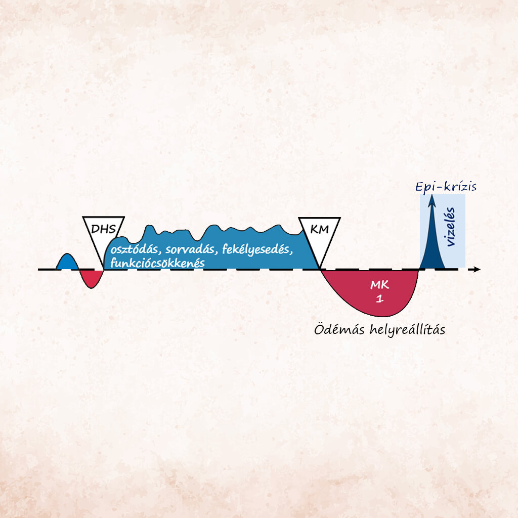 Germán Gyógytudomány – második törvény, epikrízis szakasz grafikon, a gyógyulási válságpont ábrázolása