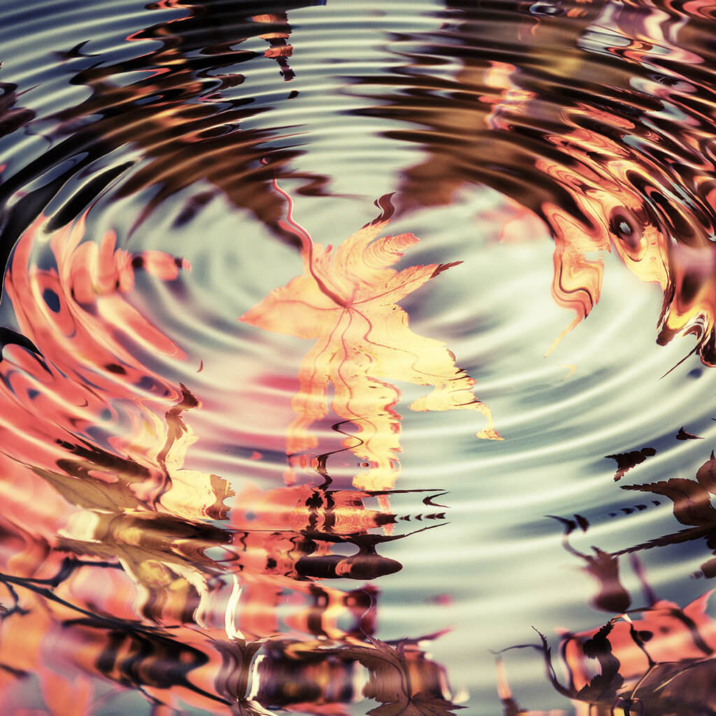 Sínek a Germán Gyógytudományban – ismétlődő konfliktusok szimbóluma víztükörrel és levéllel