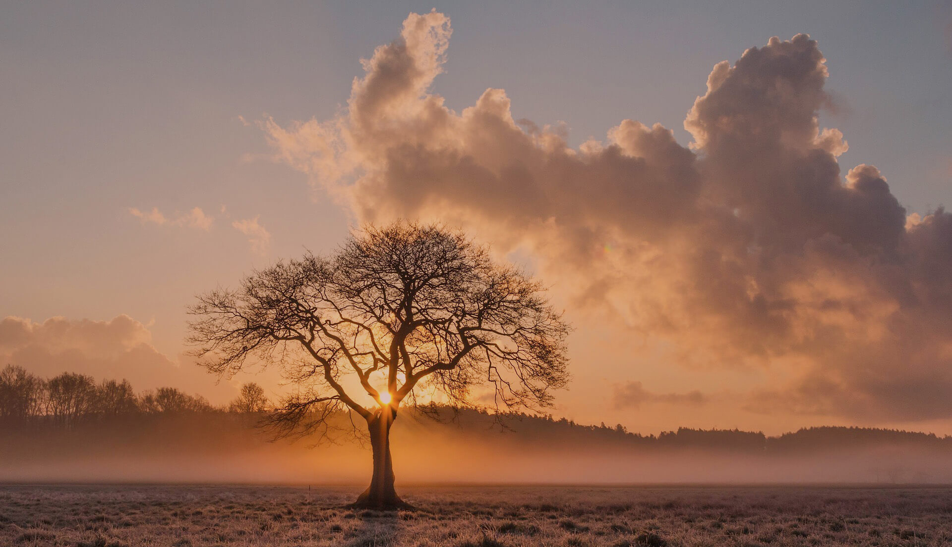 Őszi naplemente – belső transzformáció szimbolikus képe a tudati gyógyászatban