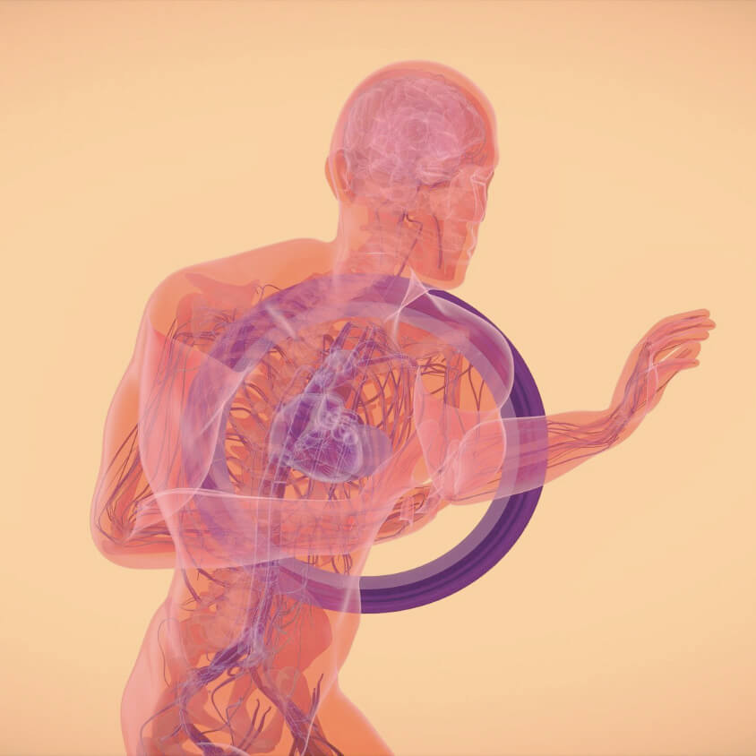 Emberi érrendszer – test-lélek kapcsolat vizuális megjelenítése a Germán Gyógytudományban