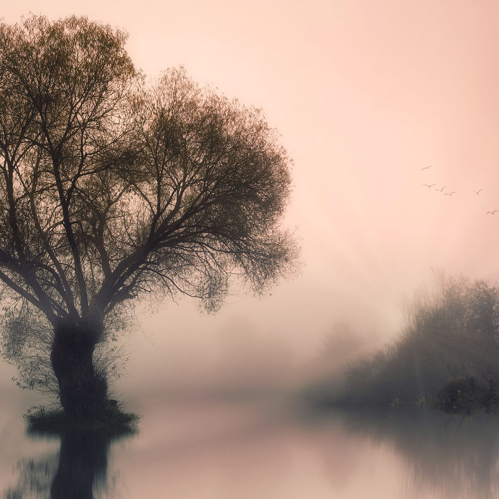 Ködös táj és fa tükröződése – a valóság és képzelet összemosódása a Germán Gyógytudomány szemléletében