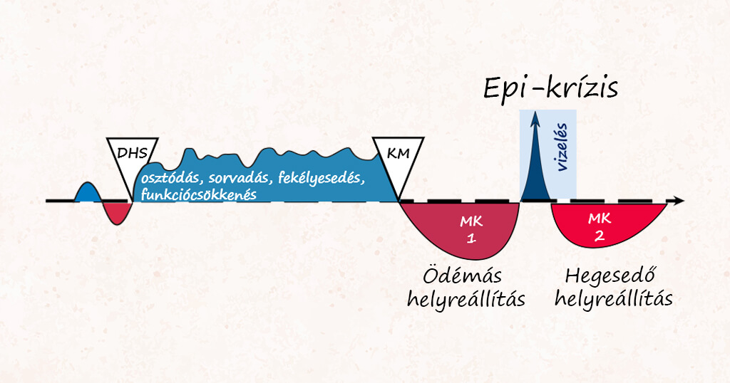 A konflikuts teljes helyreállításának ábrája