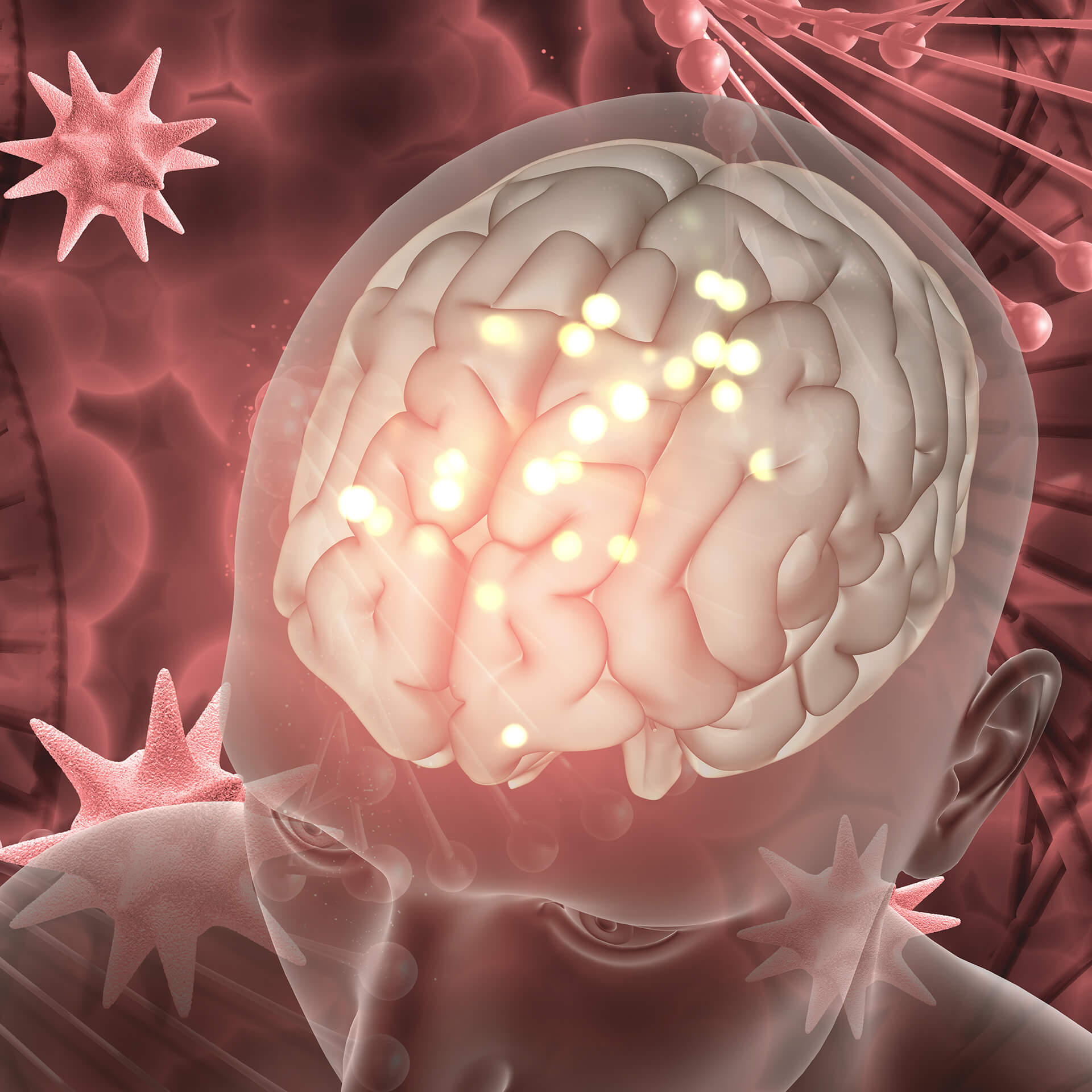 Germán Gyógytudomány tanfolyam – agyi idegpályák szemléltetése