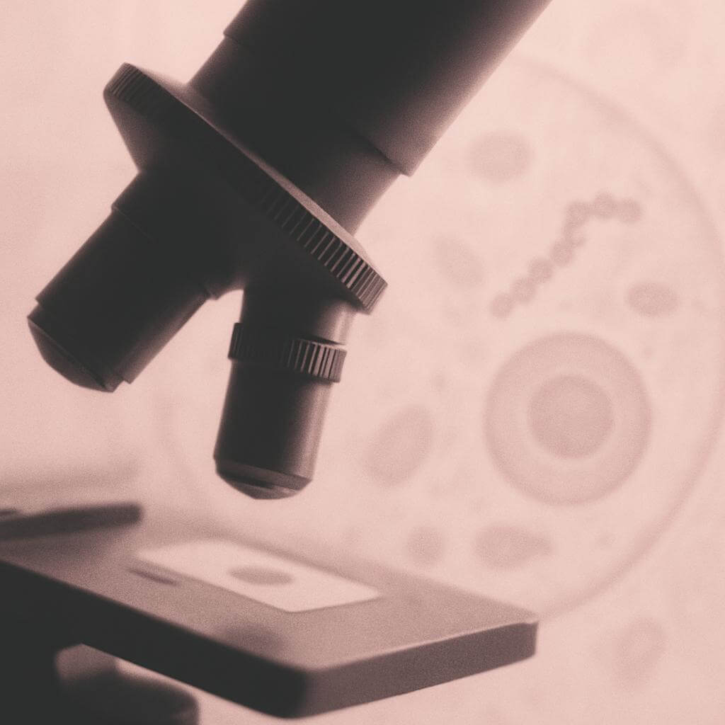 Germán Gyógytudomány 4. törvénye – mikroorganizmusok szerepe a helyreállításban