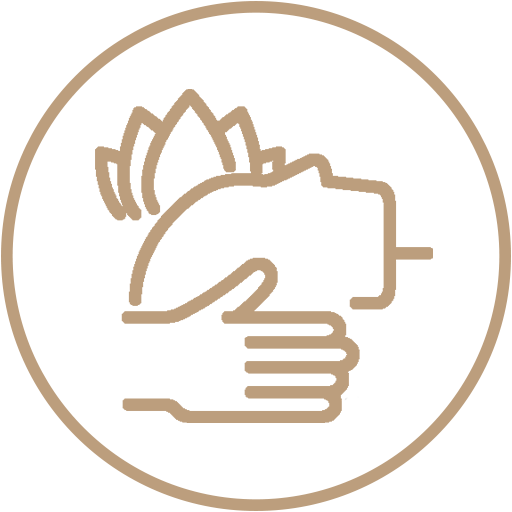 fejmasszázs ábrája